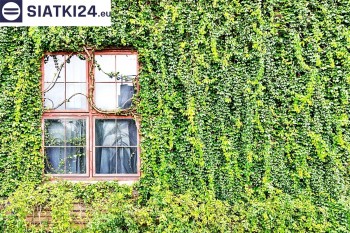 Siatki Świdnica - Siatka z dużym oczkiem - wsparcie dla roślin pnących na altance, domu i garażu dla terenów Świdnicy